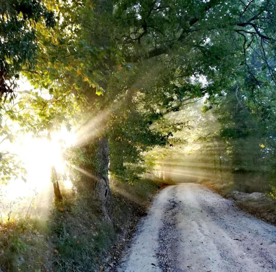 La Quercia Incantata Камеріно Екстер'єр фото